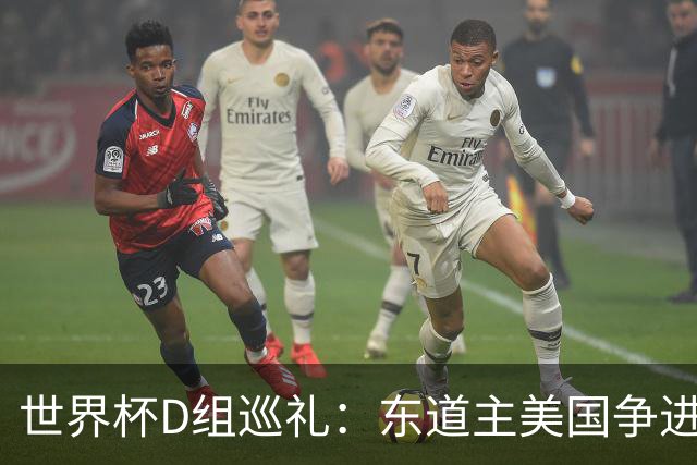 世界杯D组巡礼：东道主美国争进8强 土耳其巴拉圭澳洲混战