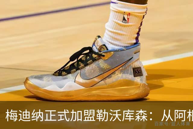 梅迪纳正式加盟勒沃库森：从阿根廷国脚到药厂新星的转变之路